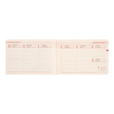 Тижневик Leo planner датований 2025 Apiro 10х15 см 128 сторінок (252571)