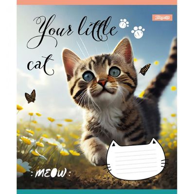 Зошит 1 вересня Your little cat 24 аркушів лінія (766653)
