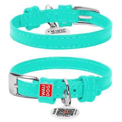 Нашийник для тварин WAUDOG Glamour з QR паспортом без прикрас L Ш 35 мм ментоловий (332213)