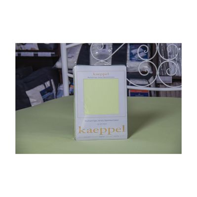 Простирадло Billerbeck трикотажне на резинці блідо-зелений100х200 см (1671-Е29)