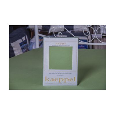 Простирадло Billerbeck трикотажне на резинці оливковий 100х200 см (1671-Е32)