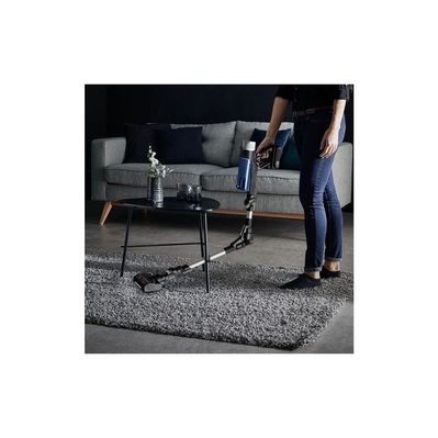 Пылесос Rowenta RH20C0WO