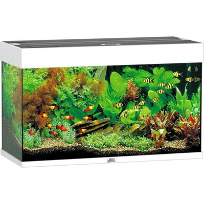 Акваріум Juwel Rio 125 LED білий (4022573014501)