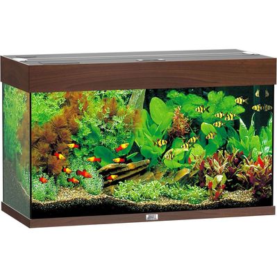 Акваріум Juwel RIO 125 LED коричневий (4022573017502)