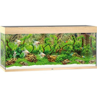 Акваріум Juwel Rio 240 LED дуб (4022573038507)