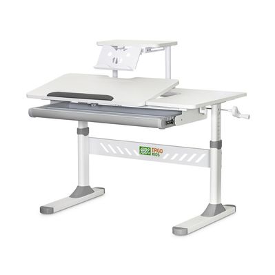 Парта ErgoKids з полицею Grey (TH-310 W/G + BD-S30 G)