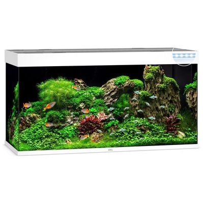 Акваріум Juwel Rio 350 LED 121х66х51 см 350 л прямий (білий) (4022573074505)
