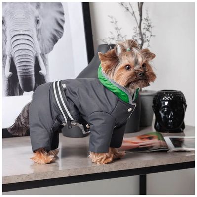 Костюм для животных Buddy Boo Din S (4823082432240)