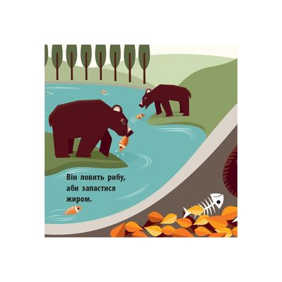 Книга Лісова компанія - Мадлєн Роджерс Ранок (9789667490133)