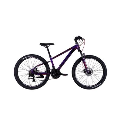 Велосипед Discovery 26" TREK DD рама-13" ST 2025 фіолетовий (OPS-SP-26-051)